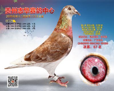 贵州志华决赛67名