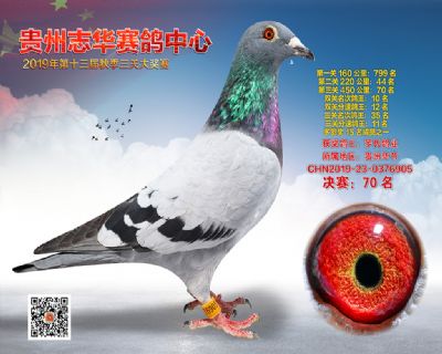 贵州志华决赛70名