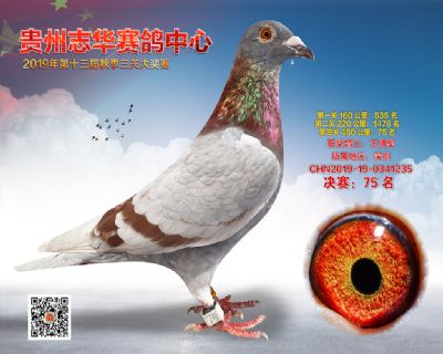 贵州志华决赛75名