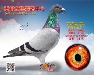 贵州志华决赛76名