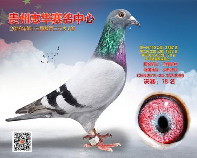 贵州志华决赛78名