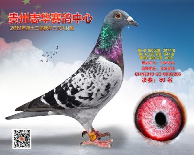 贵州志华决赛80名