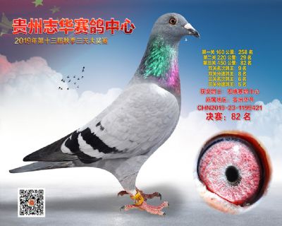 贵州志华决赛82名