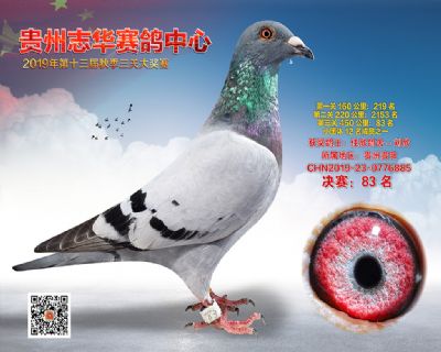 贵州志华决赛83名