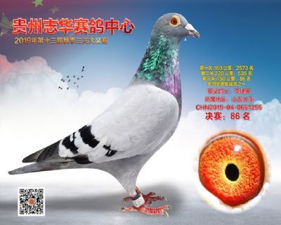 贵州志华决赛86名