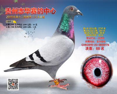 贵州志华决赛88名