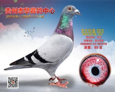 贵州志华决赛89名