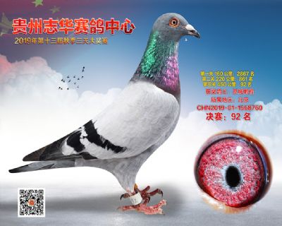 贵州志华决赛92名