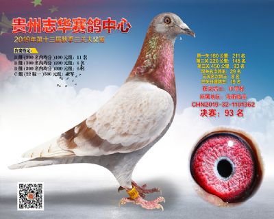 贵州志华决赛93名