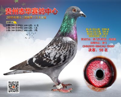 贵州志华决赛98名