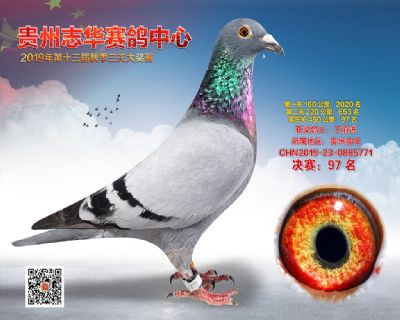 贵州志华决赛97名