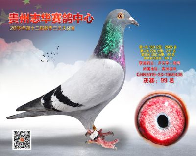贵州志华决赛99名