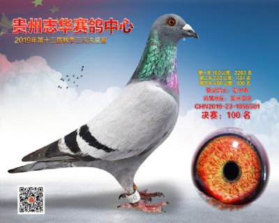 贵州志华决赛100名