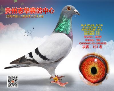 贵州志华决赛101名