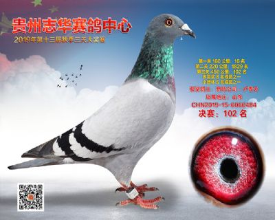 贵州志华决赛102名