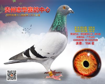 贵州志华决赛104名