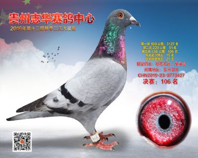贵州志华决赛106名
