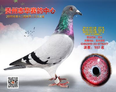 贵州志华决赛107名