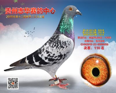 贵州志华决赛110名