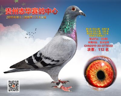 贵州志华决赛112名