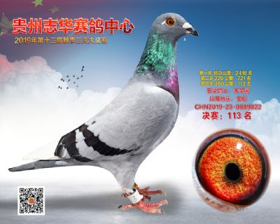 贵州志华决赛113名