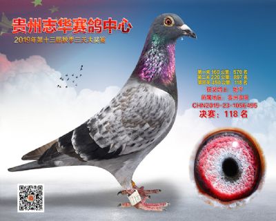 贵州志华决赛118名