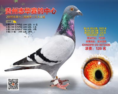 贵州志华决赛120名