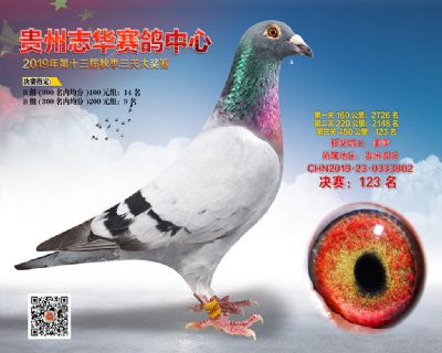 贵州志华决赛123名