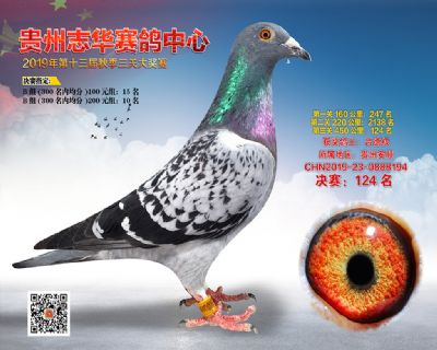 贵州志华决赛124名