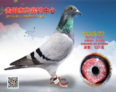 贵州志华决赛127名
