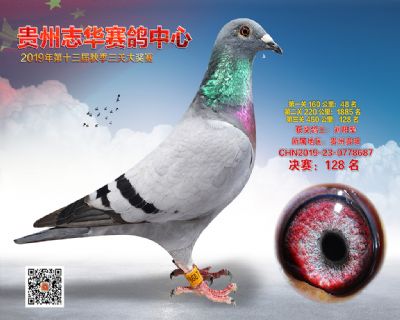 贵州志华决赛128名