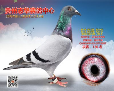 贵州志华决赛130名