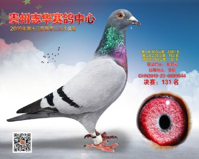贵州志华决赛131名