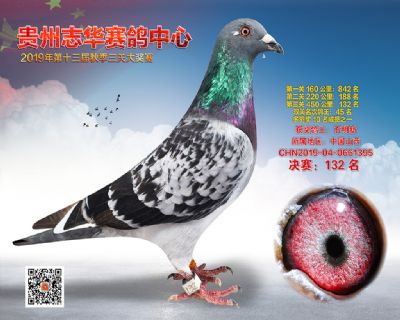 贵州志华决赛132名