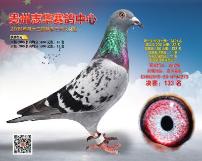 贵州志华决赛133名