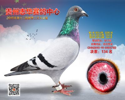贵州志华决赛134名