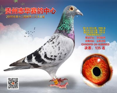 贵州志华决赛135名