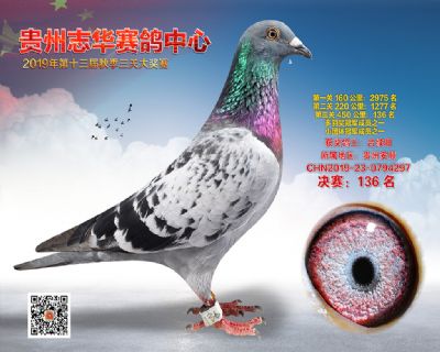 贵州志华决赛136名