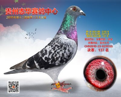 贵州志华决赛137名