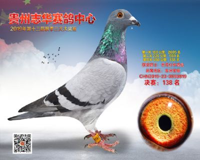贵州志华决赛138名