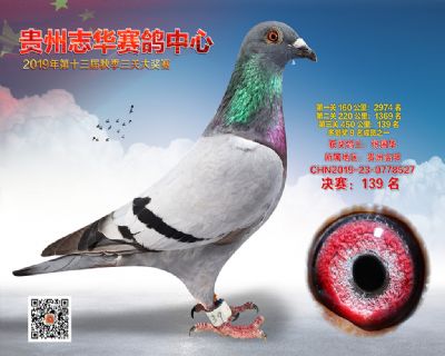 贵州志华决赛139名