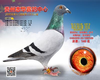 贵州志华决赛140名
