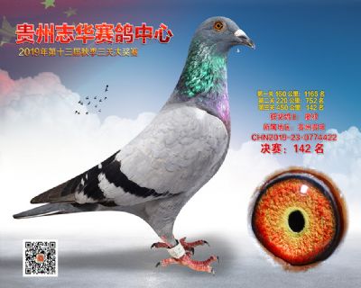 贵州志华决赛142名