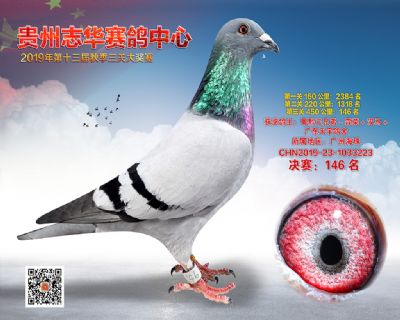贵州志华决赛146名