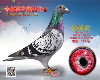 贵州志华决赛147名