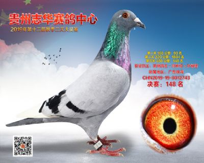 贵州志华决赛148名