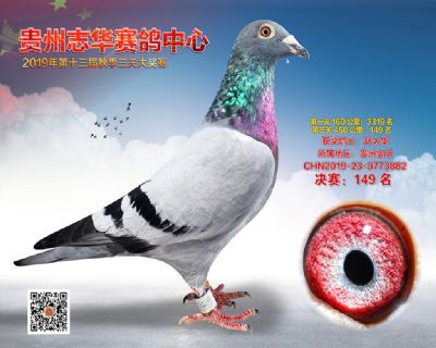 贵州志华决赛149名