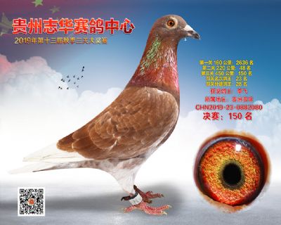 贵州志华决赛150名