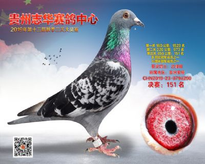 贵州志华决赛151名