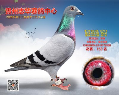 贵州志华决赛153名